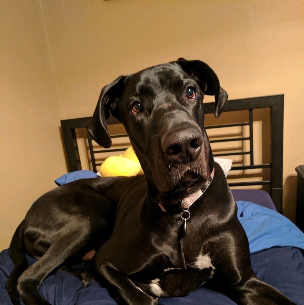 Meet your Posher, Heather